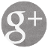 Google+